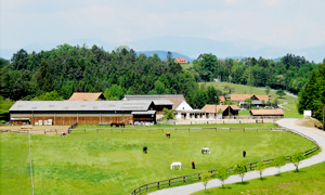 Reitanlage
